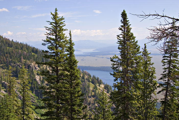 [Jenny and Jackson Lakes]