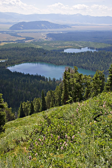 [Bradley and Taggart Lakes]